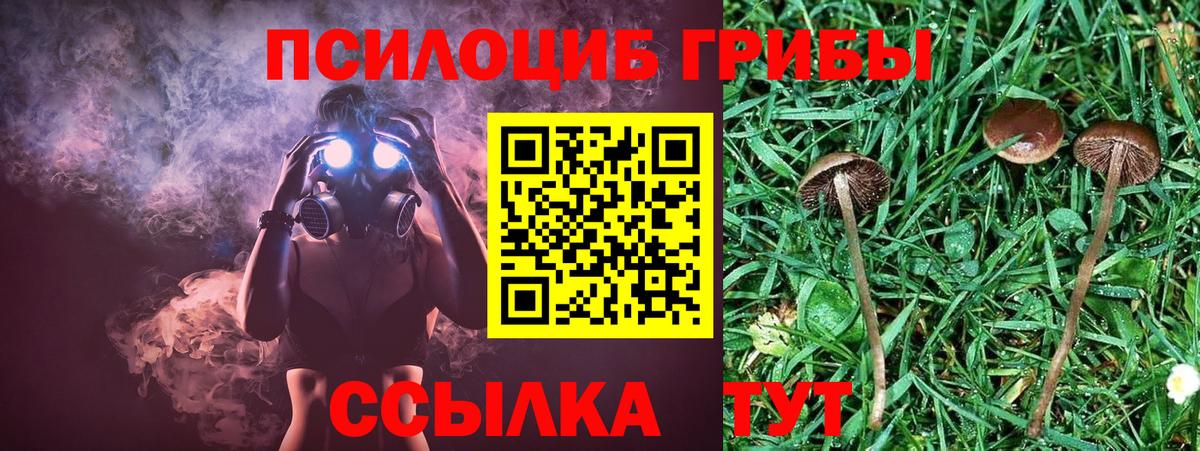 Амфетамин Заводоуковск