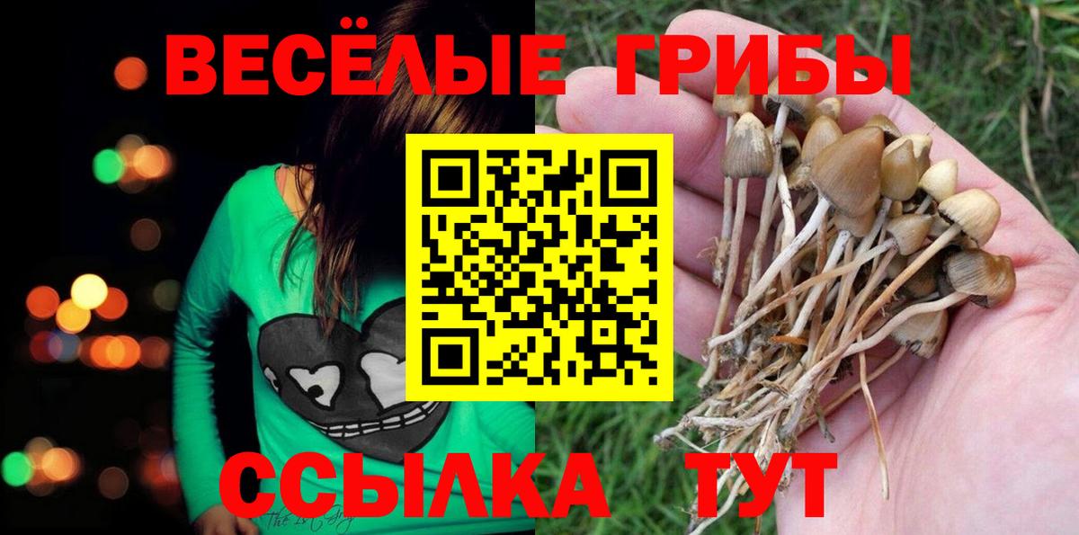 Псилоцибиновые грибы MAGIC MUSHROOMS Заводоуковск