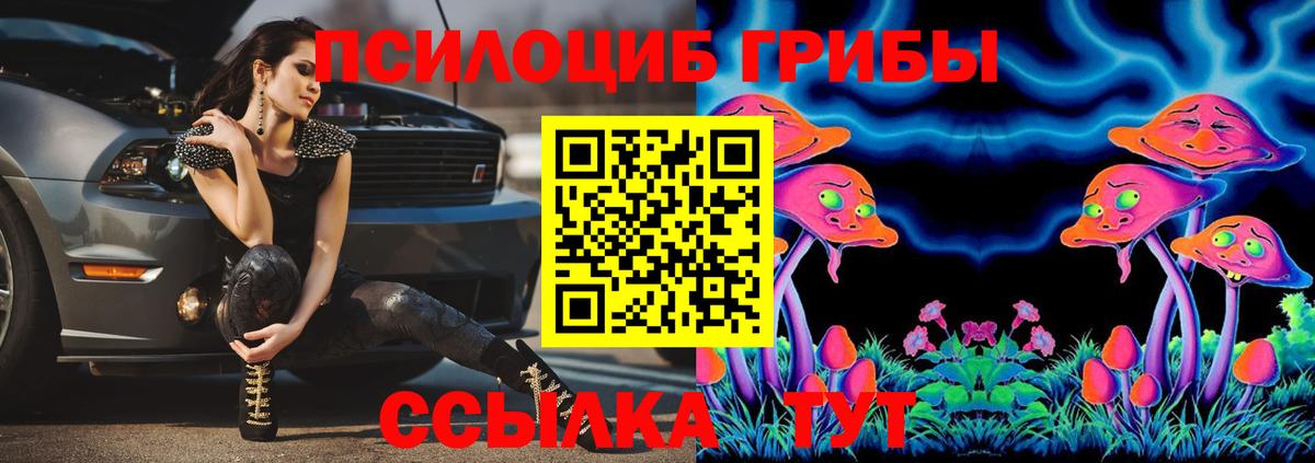 Заводоуковск  Галлюциногенные грибы GOLDEN TEACHER  Вход с VPN 